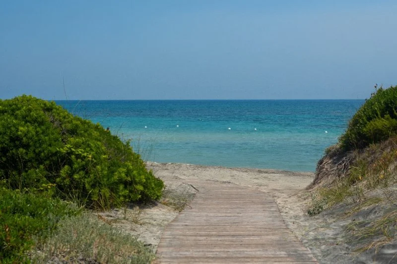 GALLERY-MCR-32-800x533